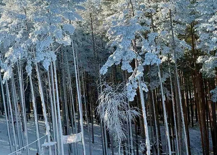 Balkanhill2 S37 Pekovic 公寓 兹拉蒂博尔